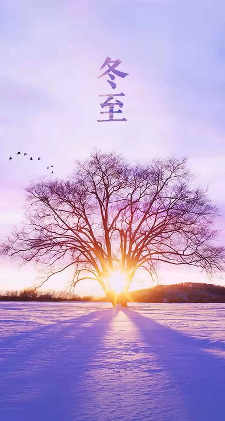 1640049292477589.jpg 1a70a29862c5a50a6bbfb9b07ed9e44.jpg