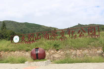 大(dà)别山(shān)茶油公園